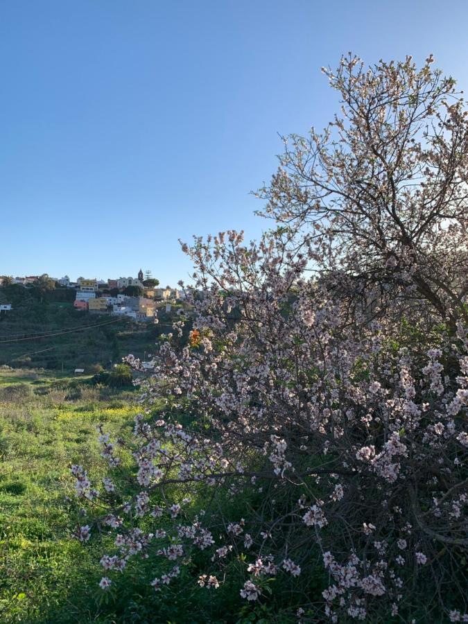 Santa Brígida El Sosiego, Der Rueckzugsort מראה חיצוני תמונה